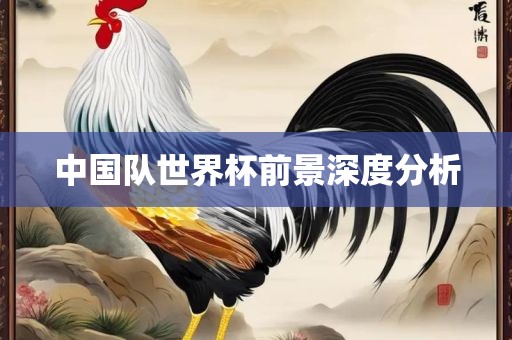 中国队世界杯前景深度分析