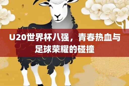 U20世界杯八强，青春热血与足球荣耀的碰撞