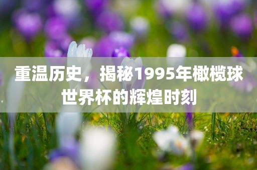 重温历史，揭秘1995年橄榄球世界杯的辉煌时刻