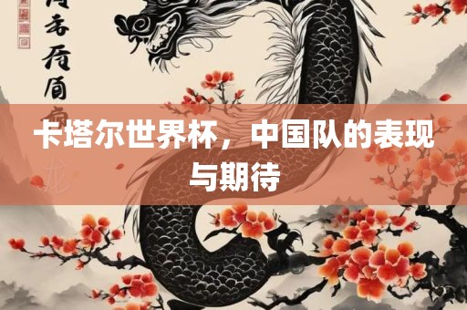 卡塔尔世界杯，中国队的表现与期待