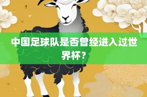 中国足球队是否曾经进入过世界杯？