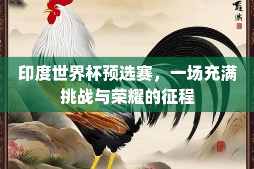 印度世界杯预选赛，一场充满挑战与荣耀的征程