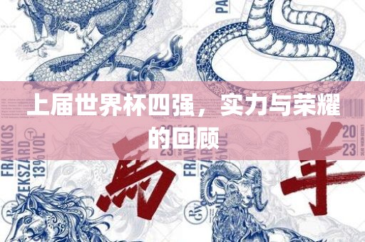 上届世界杯四强，实力与荣耀的回顾