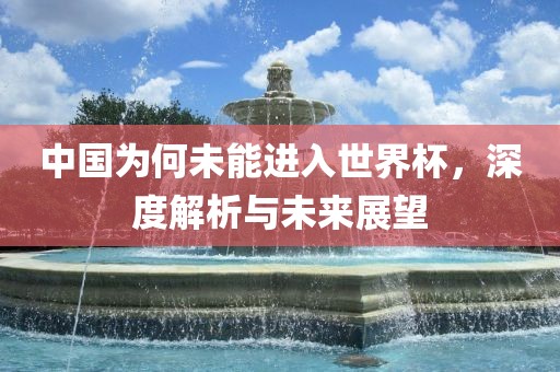 中国为何未能进入世界杯，深度解析与未来展望
