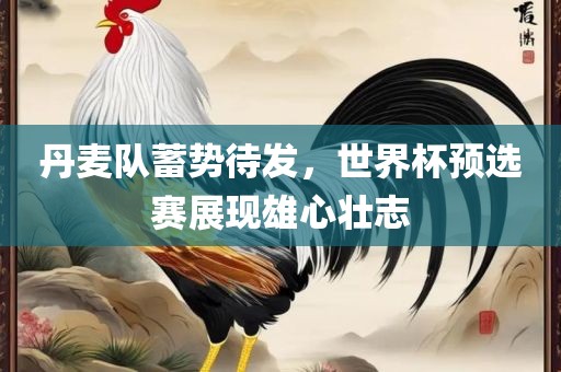 丹麦队蓄势待发，世界杯预选赛展现雄心壮志