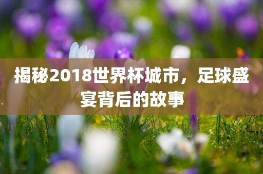 揭秘2018世界杯城市，足球盛宴背后的故事
