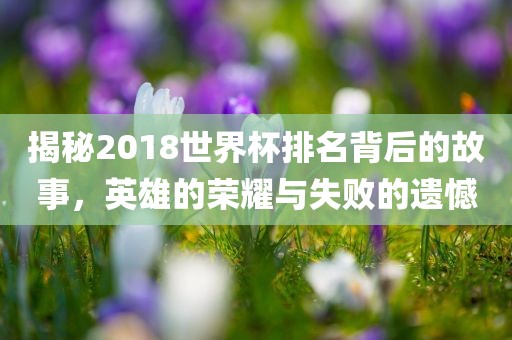 揭秘2018世界杯排名背后的故事，英雄的荣耀与失败的遗憾