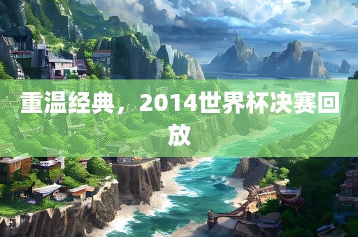 重温经典，2014世界杯决赛回放