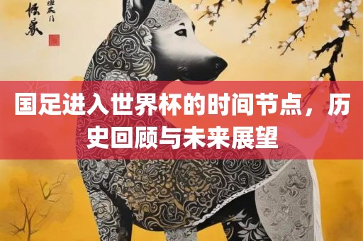 国足进入世界杯的时间节点，历史回顾与未来展望