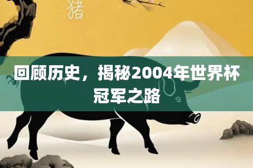 回顾历史，揭秘2004年世界杯冠军之路