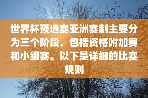 世界杯预选赛亚洲赛制主要分为三个阶段，包括资格附加赛和小组赛。以下是详细的比赛规则