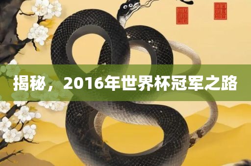揭秘，2016年世界杯冠军之路