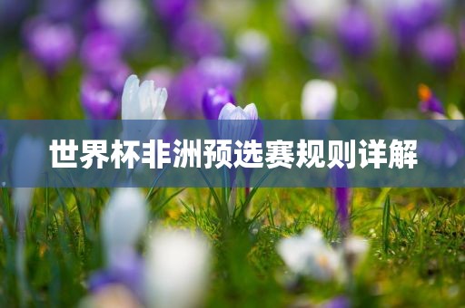 世界杯非洲预选赛规则详解