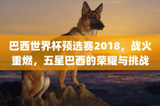 巴西世界杯预选赛2018，战火重燃，五星巴西的荣耀与挑战