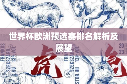 世界杯欧洲预选赛排名解析及展望