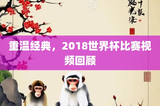 重温经典，2018世界杯比赛视频回顾