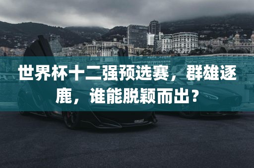 世界杯十二强预选赛，群雄逐鹿，谁能脱颖而出？