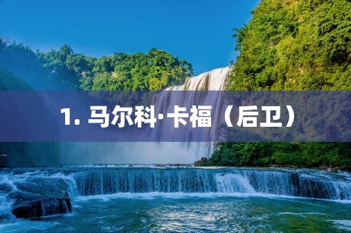 1. 马尔科·卡福（后卫）