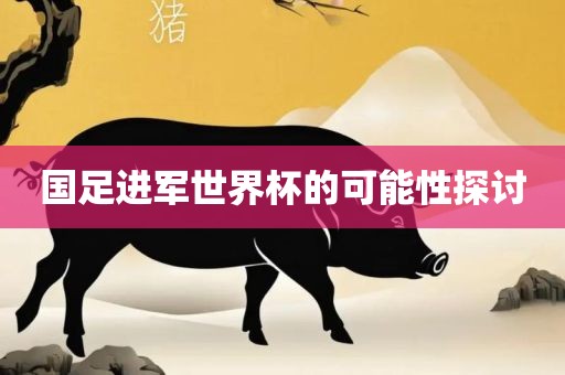 国足进军世界杯的可能性探讨