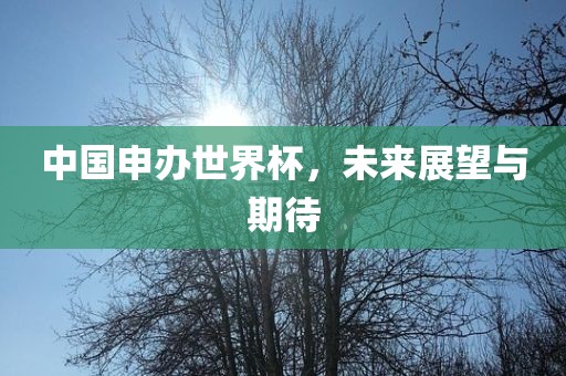 中国申办世界杯，未来展望与期待