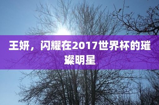 王妍，闪耀在2017世界杯的璀璨明星