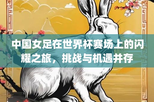 中国女足在世界杯赛场上的闪耀之旅，挑战与机遇并存