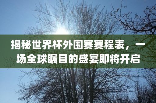 揭秘世界杯外围赛赛程表，一场全球瞩目的盛宴即将开启