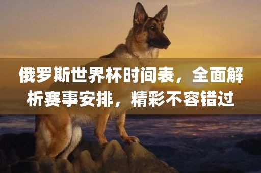 俄罗斯世界杯时间表，全面解析赛事安排，精彩不容错过