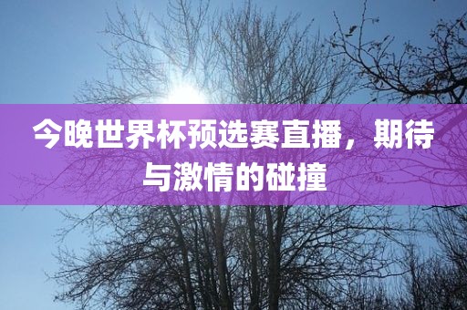今晚世界杯预选赛直播，期待与激情的碰撞