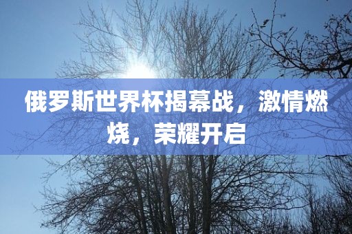 俄罗斯世界杯揭幕战，激情燃烧，荣耀开启
