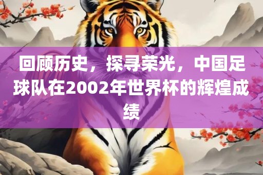 回顾历史，探寻荣光，中国足球队在2002年世界杯的辉煌成绩