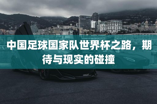 中国足球国家队世界杯之路，期待与现实的碰撞