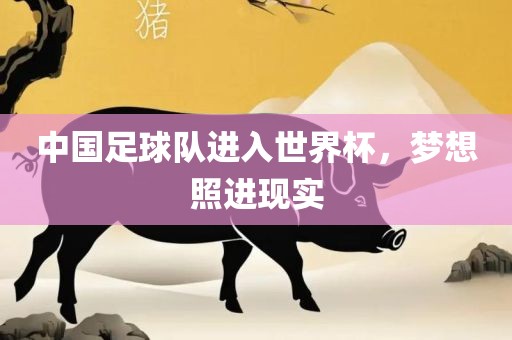 中国足球队进入世界杯，梦想照进现实