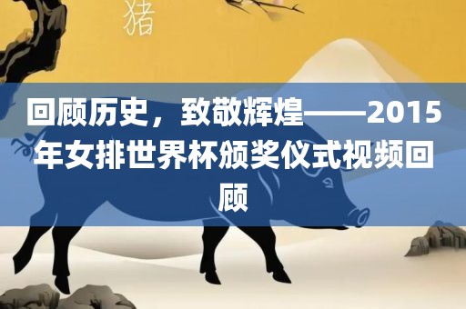 回顾历史，致敬辉煌——2015年女排世界杯颁奖仪式视频回顾