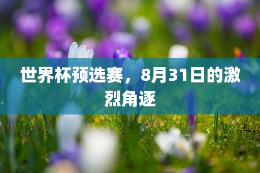 世界杯预选赛，8月31日的激烈角逐