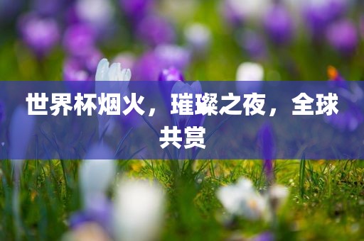 世界杯烟火，璀璨之夜，全球共赏