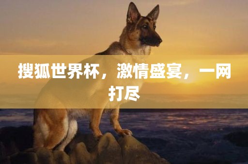 搜狐世界杯，激情盛宴，一网打尽