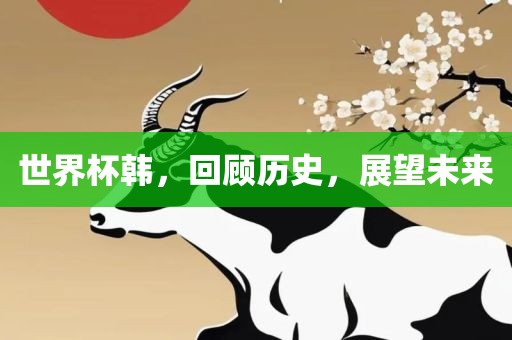世界杯韩，回顾历史，展望未来
