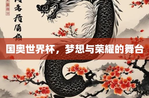 国奥世界杯，梦想与荣耀的舞台