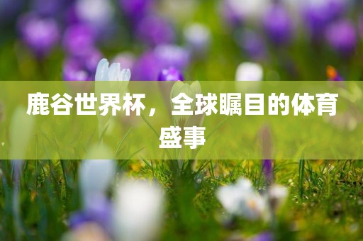 鹿谷世界杯，全球瞩目的体育盛事
