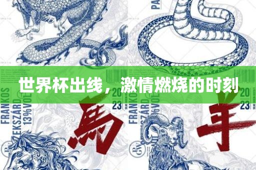 世界杯出线，激情燃烧的时刻