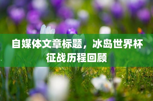 自媒体文章标题，冰岛世界杯征战历程回顾