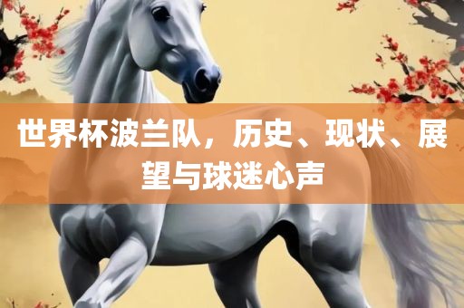 世界杯波兰队，历史、现状、展望与球迷心声