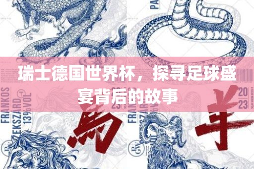 瑞士德国世界杯，探寻足球盛宴背后的故事