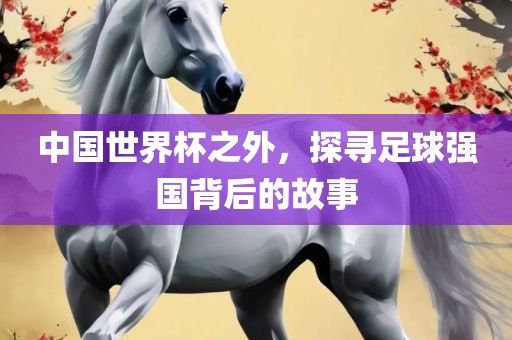 中国世界杯之外，探寻足球强国背后的故事