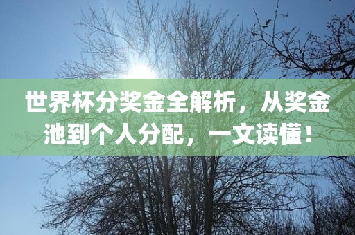 世界杯分奖金全解析，从奖金池到个人分配，一文读懂！