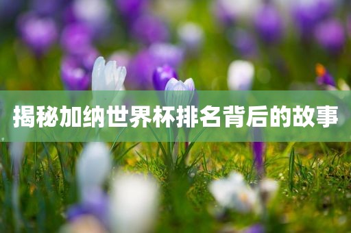 揭秘加纳世界杯排名背后的故事