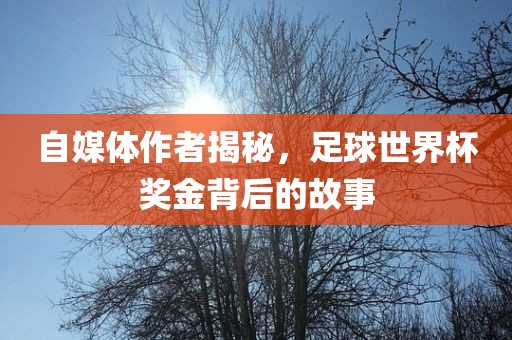 自媒体作者揭秘，足球世界杯奖金背后的故事