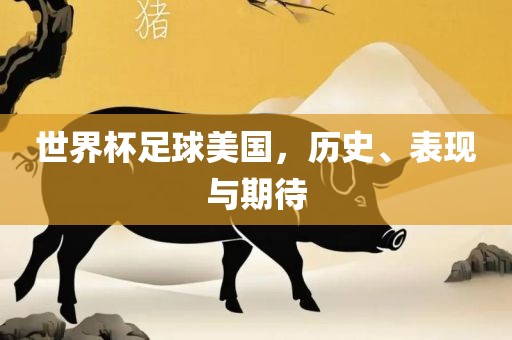 世界杯足球美国，历史、表现与期待