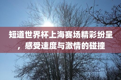 短道世界杯上海赛场精彩纷呈，感受速度与激情的碰撞